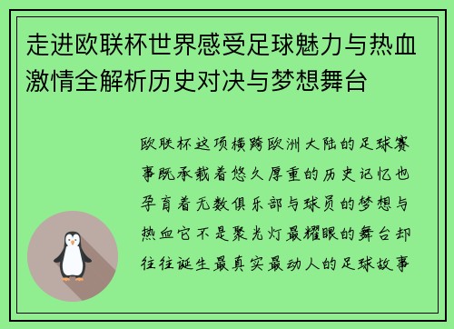 走进欧联杯世界感受足球魅力与热血激情全解析历史对决与梦想舞台